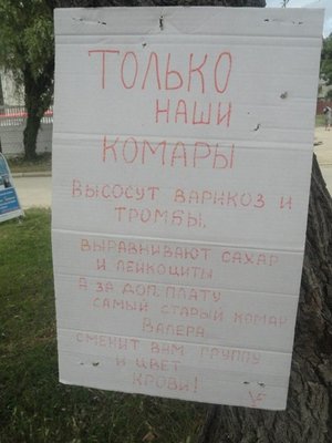 valera.jpg (48.57 КБ) 16471 просмотр valera.jpg