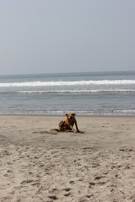 Ваня, это не ты случайно ???